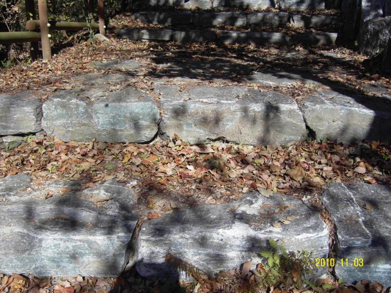 SDC14122.JPG