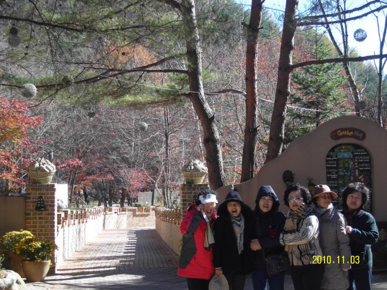 SDC14147.JPG