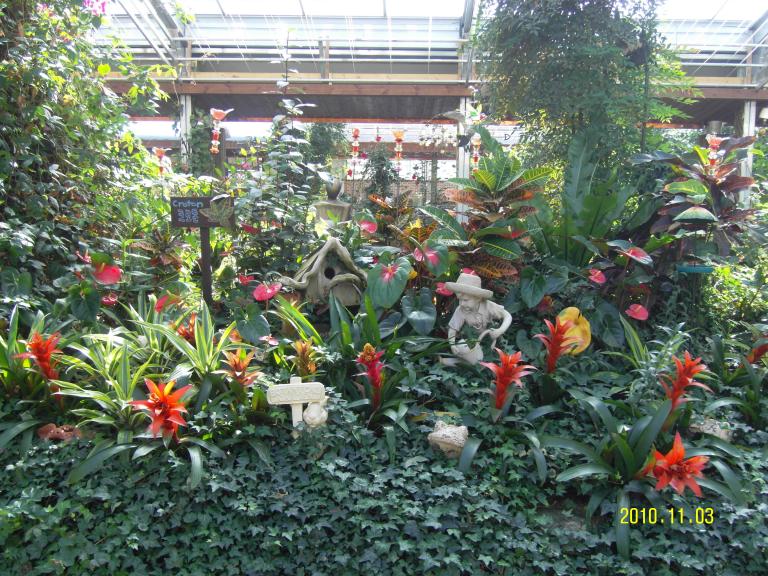 SDC14164.JPG