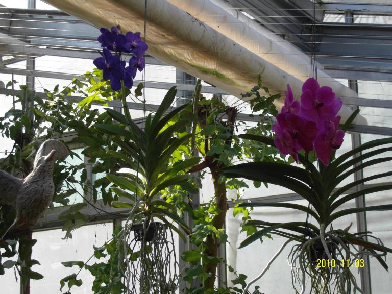 SDC14174.JPG