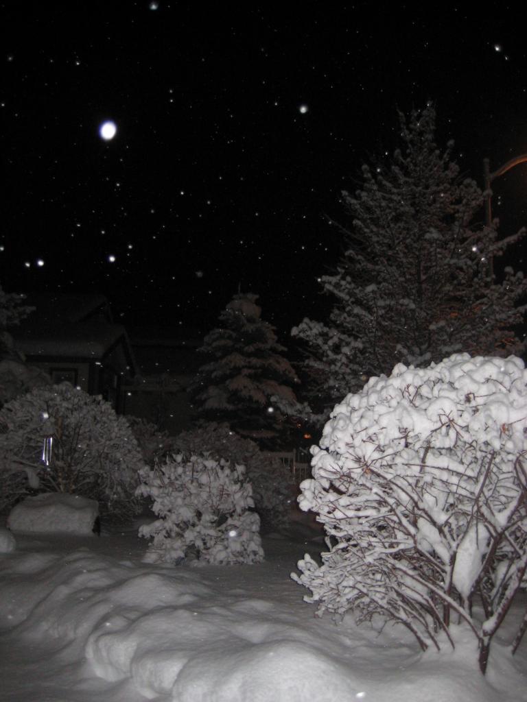 snownight 001.JPG