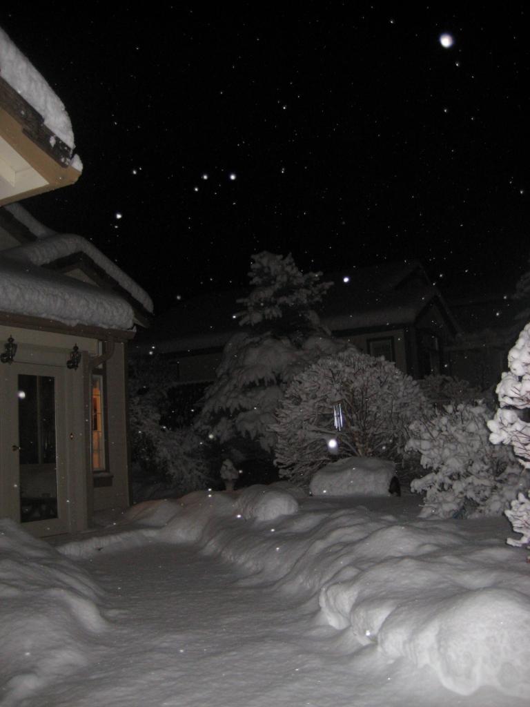 snownight 002.JPG