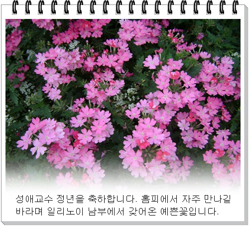 a-DSC07681.JPG