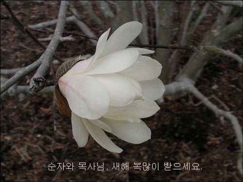 bb-SANY0717.JPG