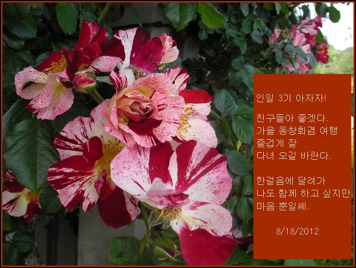 a-SANY0325.JPG