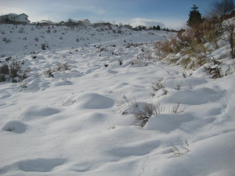 pansnowslide 005.JPG