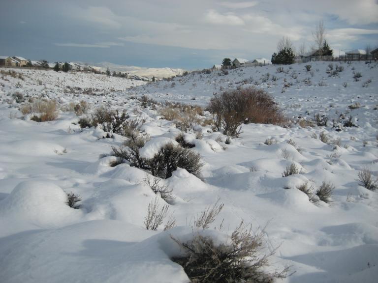 pansnowslide 006.JPG