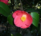 P1090001.JPG