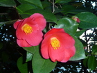 P1090021.JPG