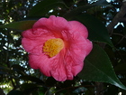 P1090035.JPG