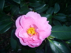 P1090050.JPG