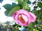 P1090054.JPG