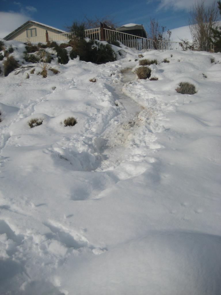 pansnowslide 004.JPG