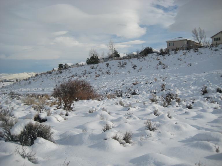 pansnowslide 010.JPG