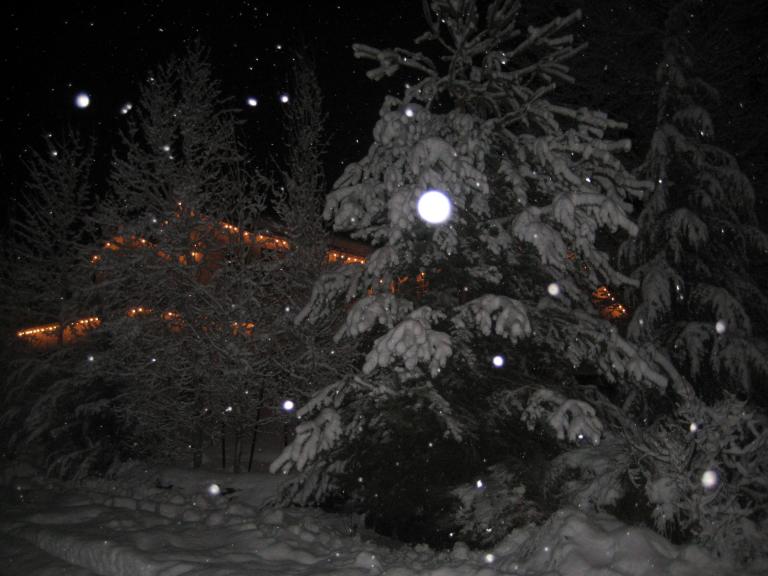 snownight 011.JPG