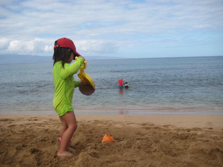 Hawaii 211.JPG