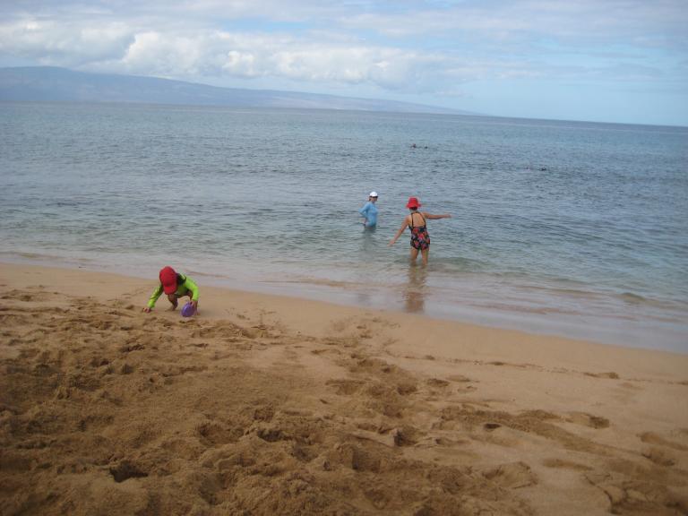 Hawaii 213.JPG