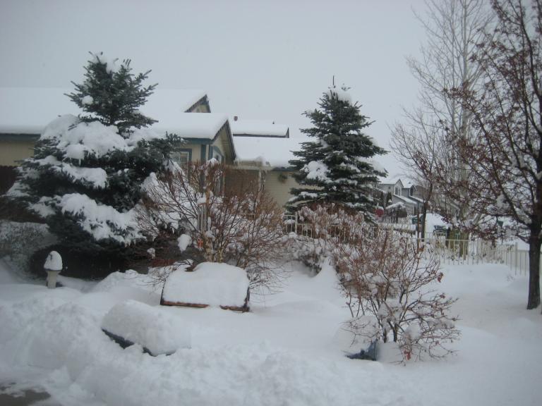 SNOW RKIDING 009.JPG