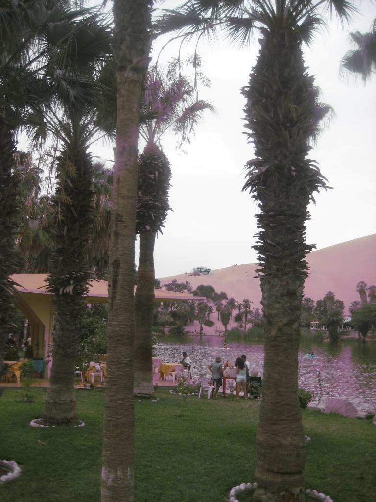 South America Arzentin Peru 1205.JPG