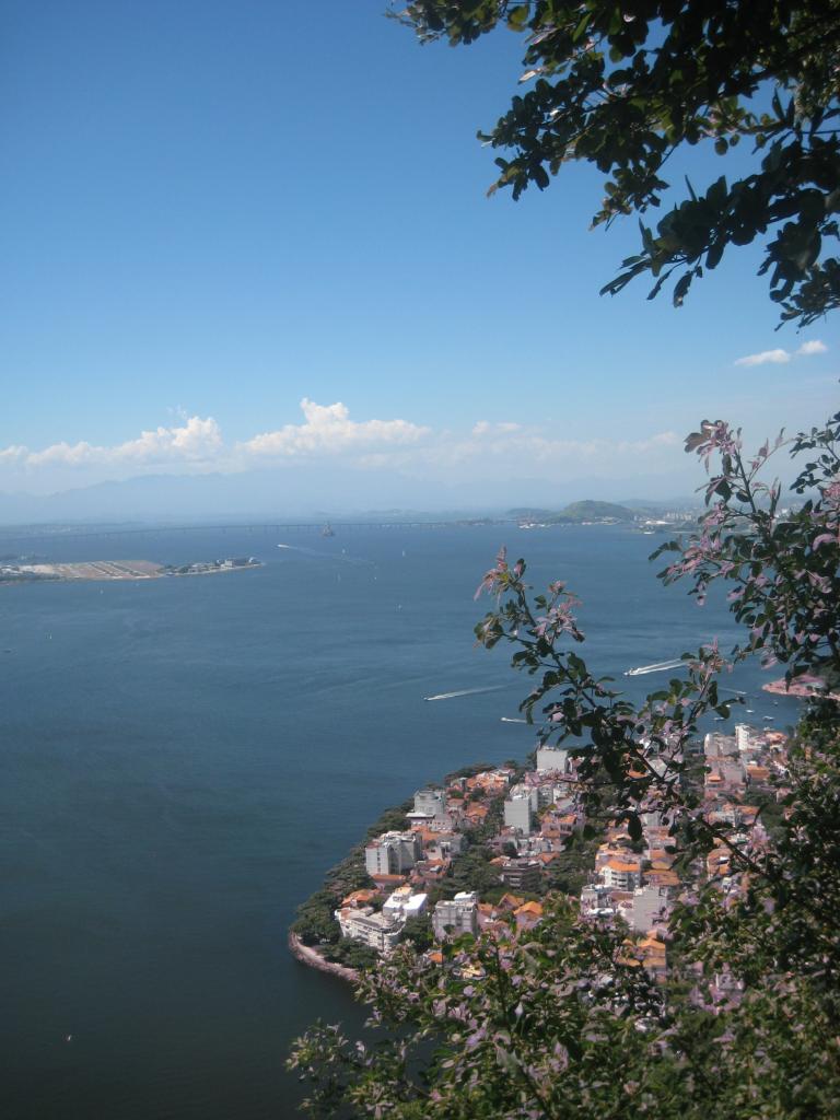 South America Brazil 349.JPG