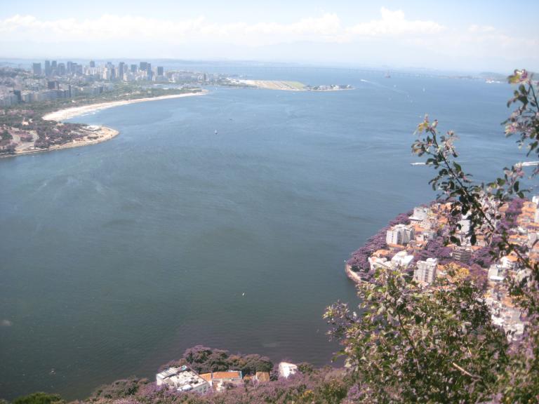 South America Brazil 350.JPG