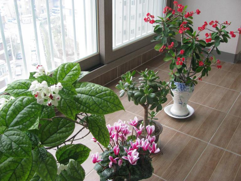 2010 005.jpg