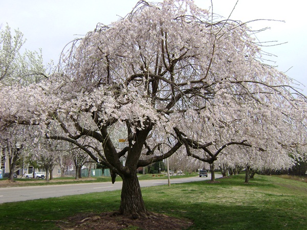 c-DSC03095.JPG