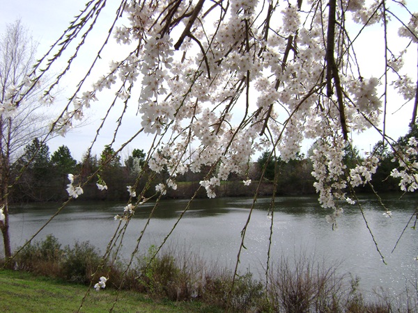 c-DSC03104.JPG