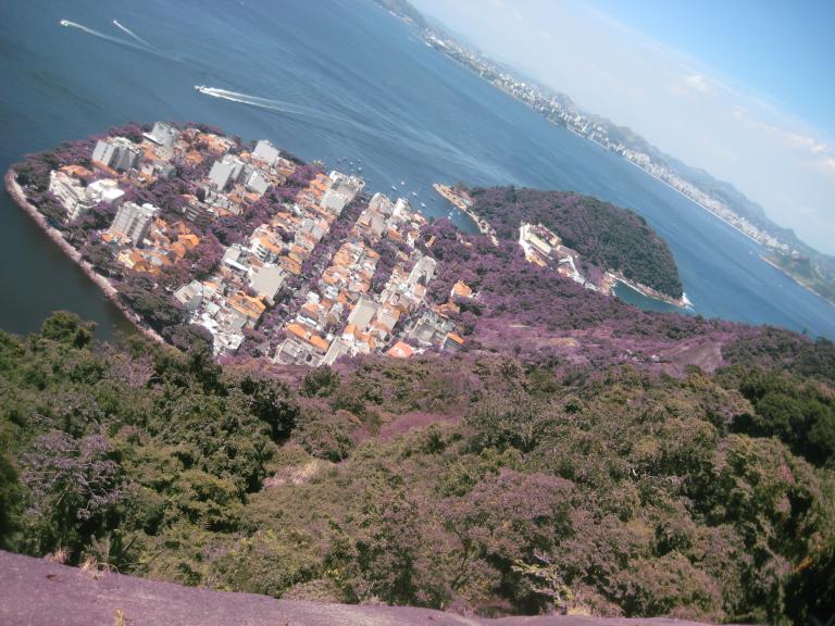 South America Brazil 352.JPG