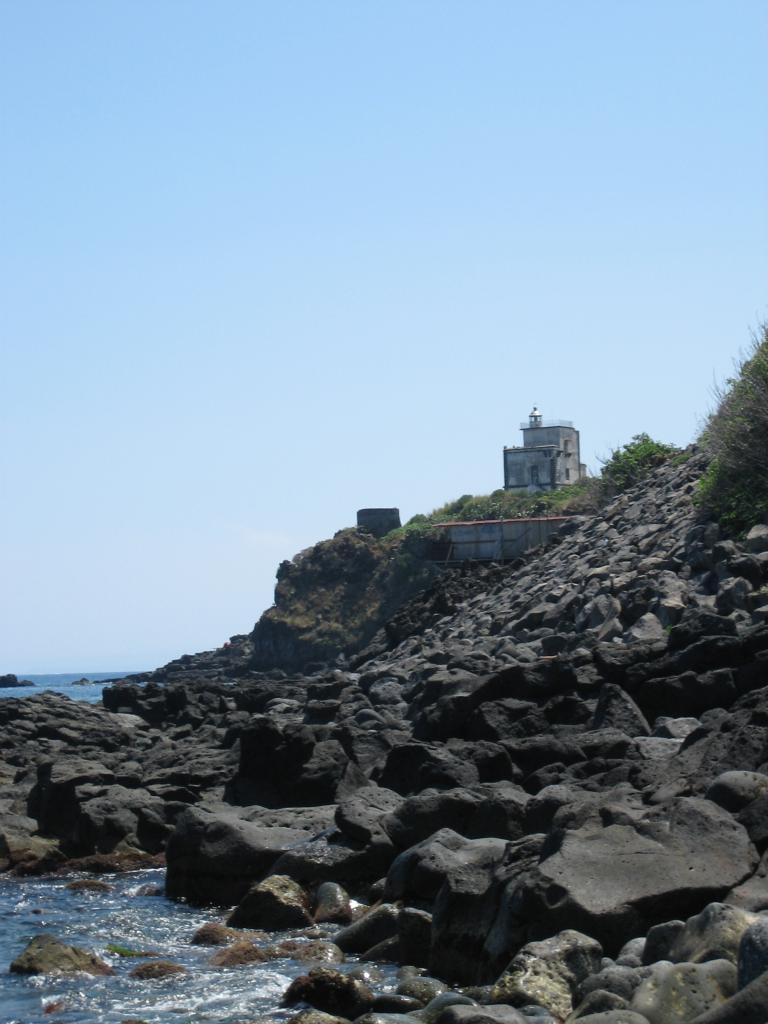 Picture 004.jpg