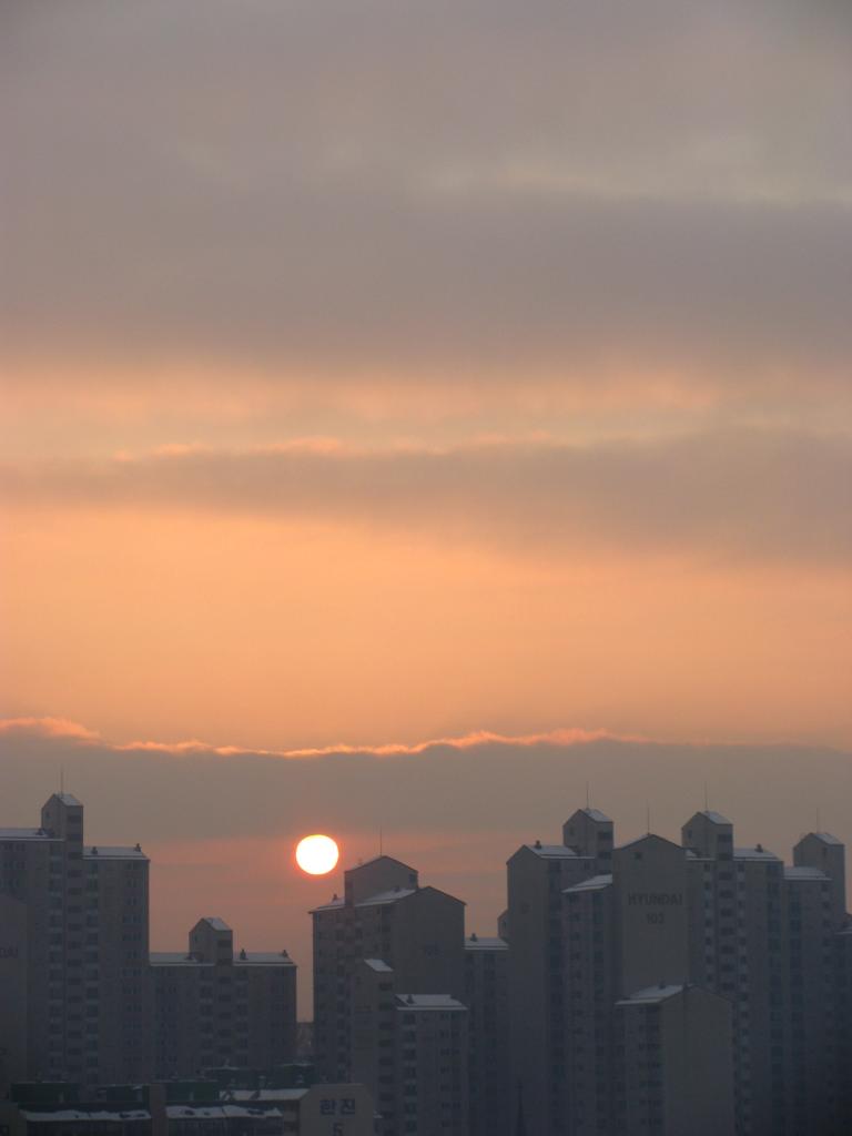 2010년 1월 8일 8시경  해뜨기 004.jpg