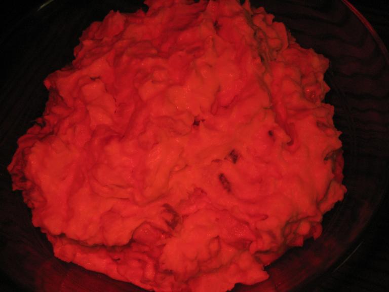 House Concert 095.JPG