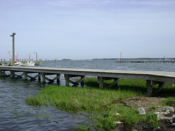 a-DSC04829.JPG