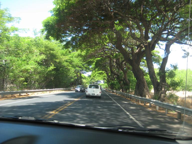 Hawaii 008.JPG