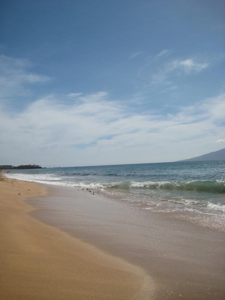 Hawaii 026.JPG