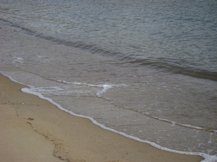 A-DSC05911.JPG