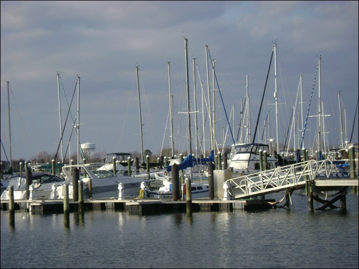 a-DSC05943.JPG