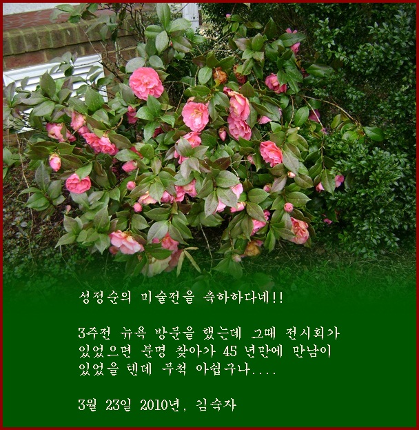 af-DSC02950.JPG