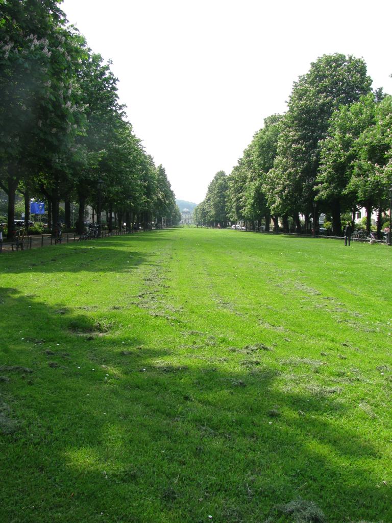 bonn,보름달 017.jpg