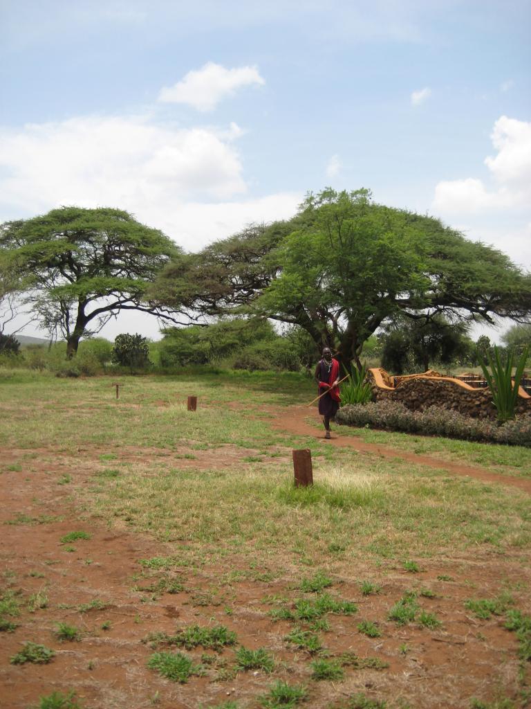 Africa 1 203.JPG