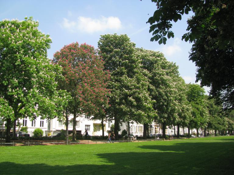 bonn,보름달 007.jpg