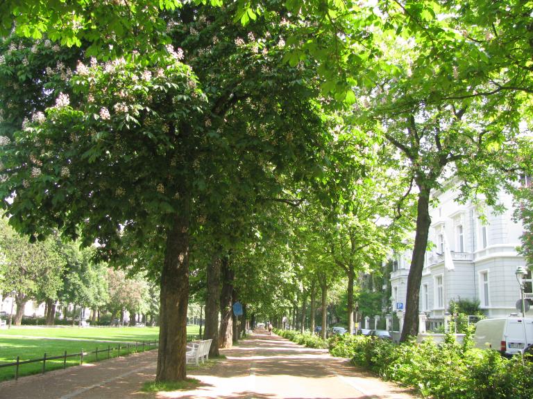 bonn,보름달 009.jpg