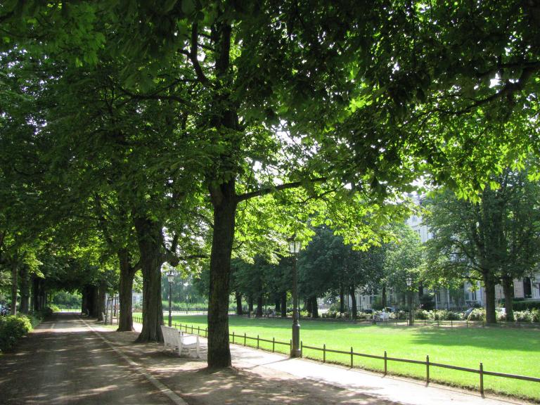 bonn,보름달 224.jpg