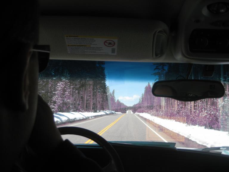 Yellowstone 411.JPG