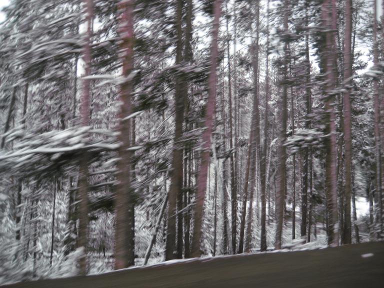 Yellowstone 636.JPG