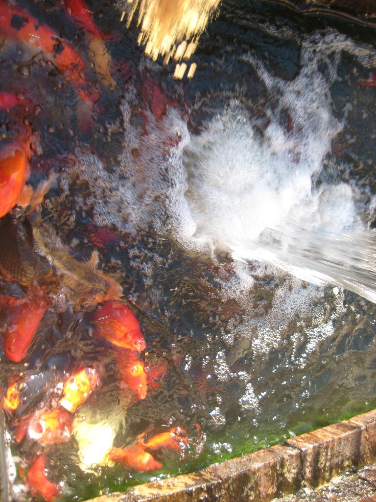 산보길 015.JPG