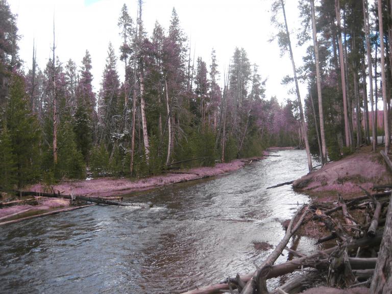Yellowstone 679.JPG