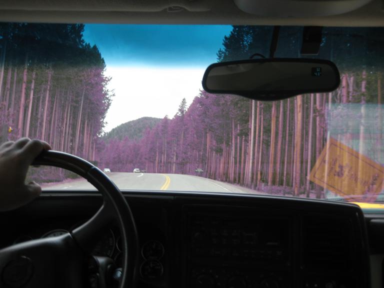 Yellowstone 705.JPG