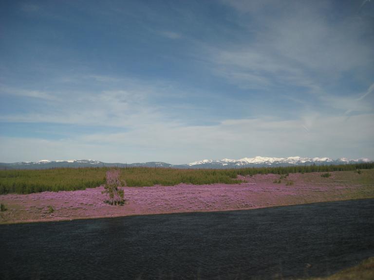 Yellowstone 840.JPG