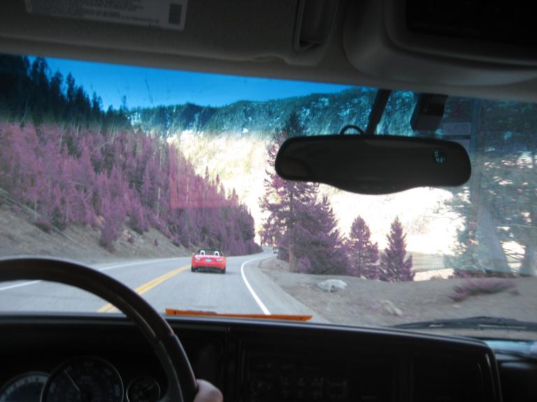 Yellowstone 842.JPG